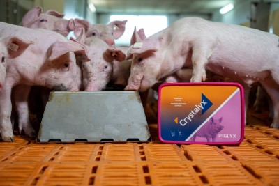 Crystalyx Piglyx Leckmasse für Schweine