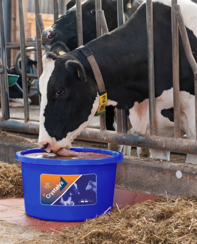 CRYSTALYX Precalver CRYSTALYX Precalver