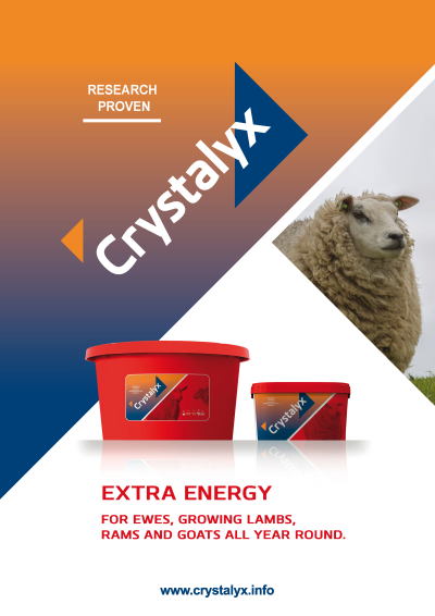 Crystalyx Extra Energy