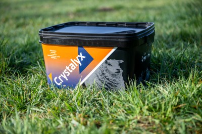 Produktbild CRYSTALYX GARLYX