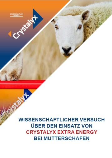 CRYSTALYX Extra Energy bei Mutterschafen