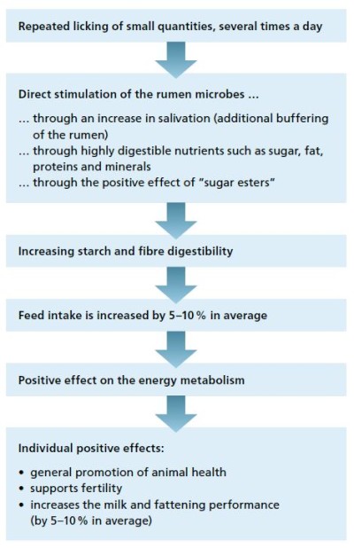 Effect of Crystalyx