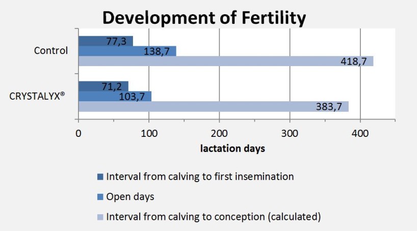 Development of fertility in comparison