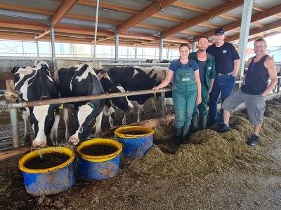 Landwirt führt Fütterungstest durch